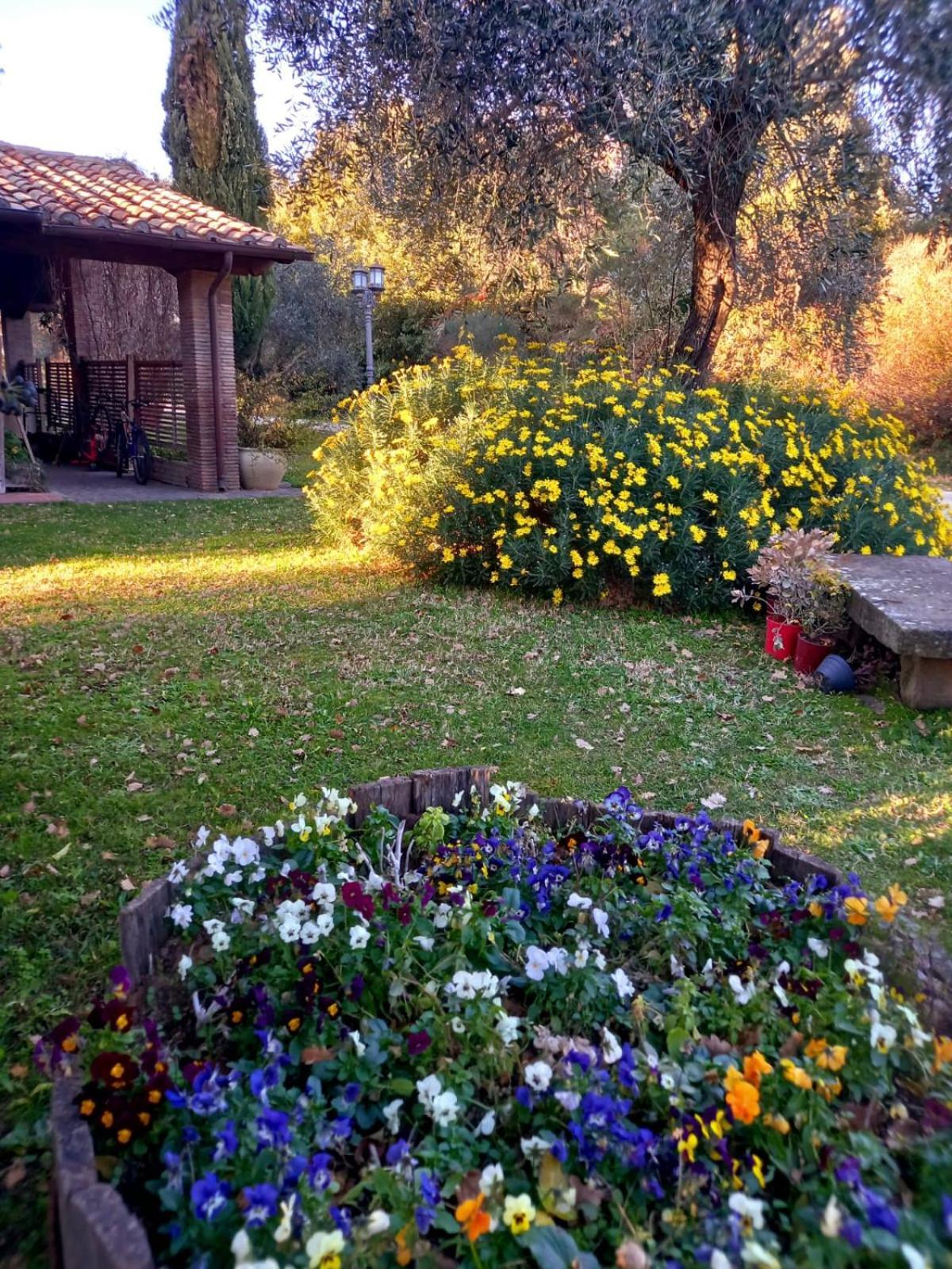 Bed and Breakfast La Chiesuola Bagnaia  Екстер'єр фото