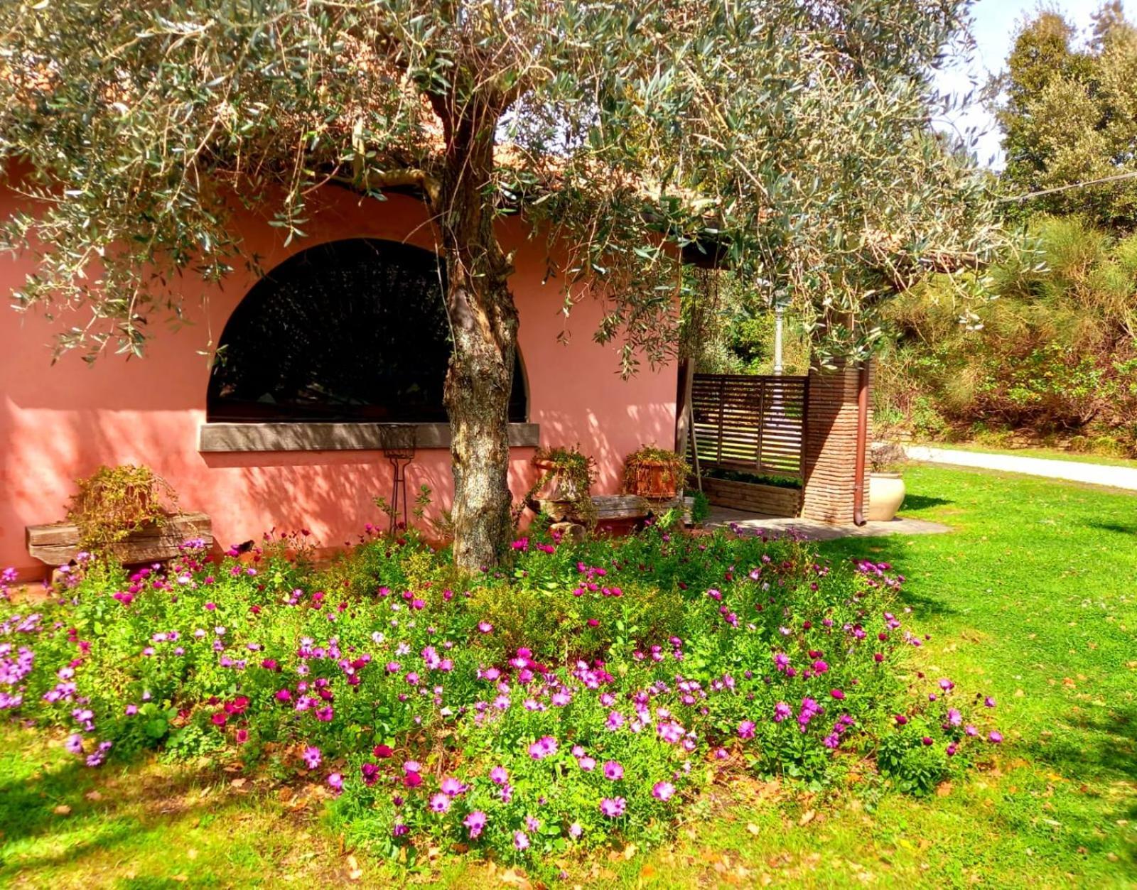 Bed and Breakfast La Chiesuola Bagnaia  Екстер'єр фото