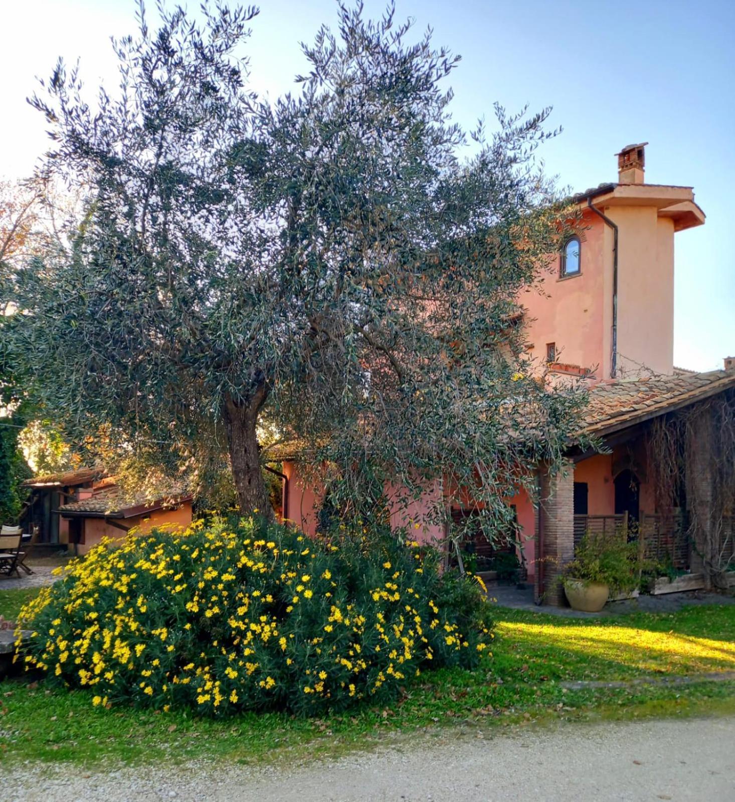 Bed and Breakfast La Chiesuola Bagnaia  Екстер'єр фото