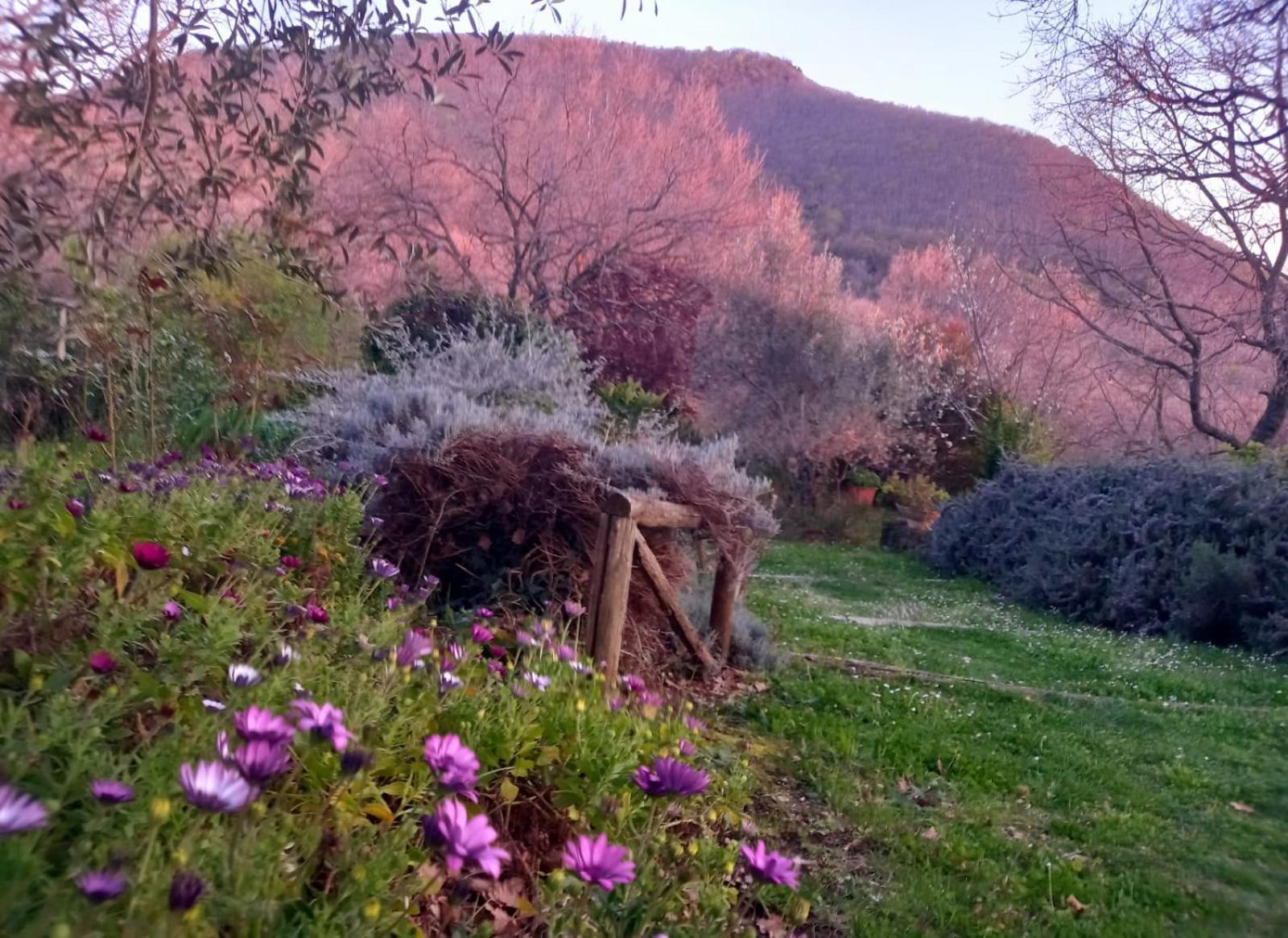Bed and Breakfast La Chiesuola Bagnaia  Екстер'єр фото